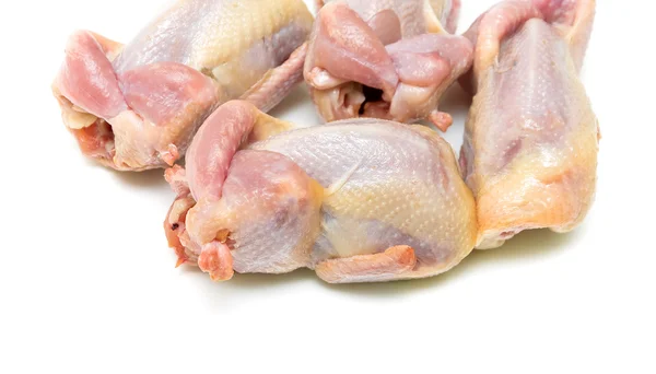 Quail carcass closeup on white background — Stock Photo, Image