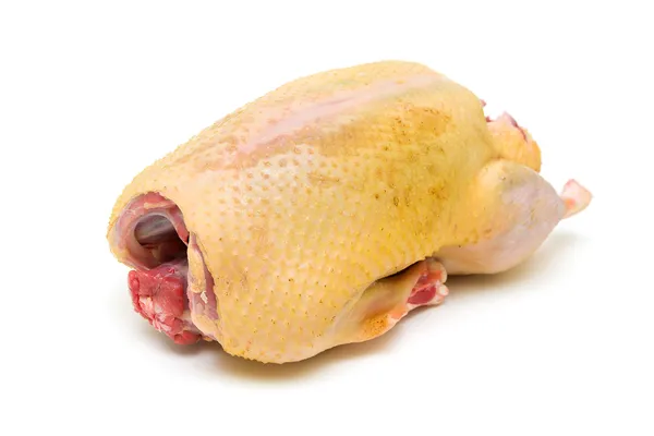 Carcaça de pato em bruto isolada sobre fundo branco close-up — Fotografia de Stock