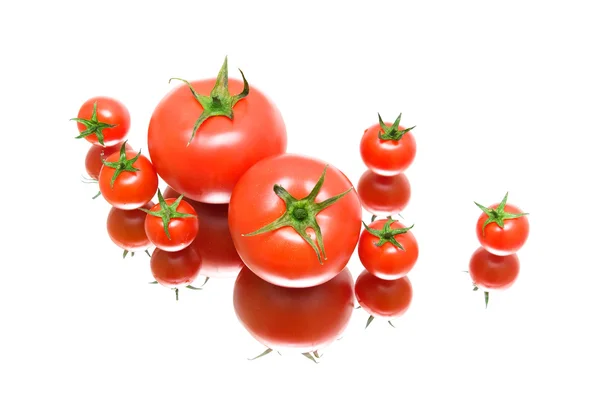 Tomates frescos y maduros sobre fondo blanco con reflejo — Foto de Stock