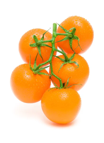 Tomates anaranjados maduros en gotas de agua aisladas sobre un respaldo blanco — Foto de Stock
