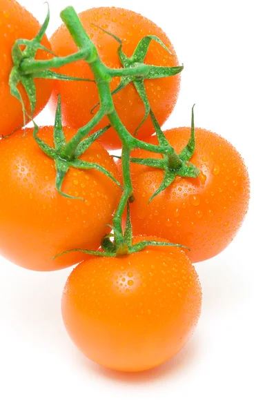 Oranje tomaten in water druppels op een witte achtergrond close-up — Stockfoto