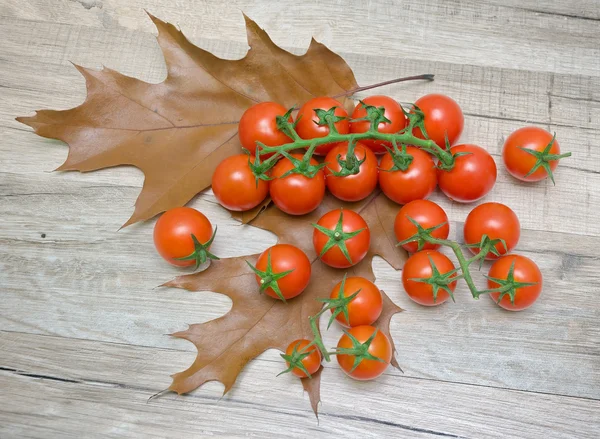 Tomates de cereja em folhas de outono em uma mesa de madeira . — Fotografia de Stock