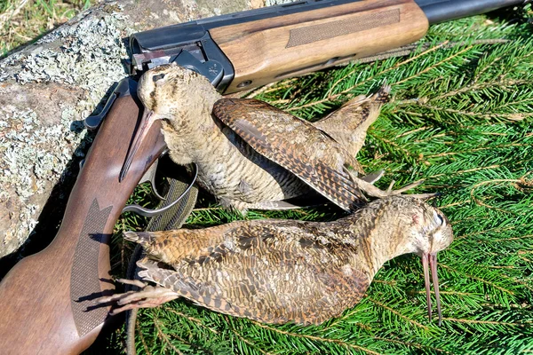 Jachttrofeeën - woodcocks close-up — Stockfoto