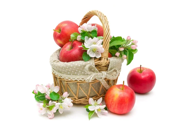 Apples and apple-tree flowers isolated on white background — Stock Photo, Image