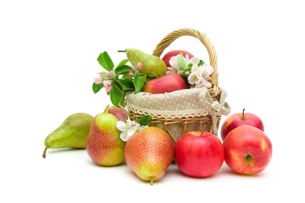 Ripe pears and apples on a white background — Stock Photo, Image