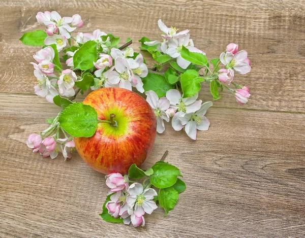 Czerwony jabłko i jabłoń kwiaty na tle drewniane. — Zdjęcie stockowe