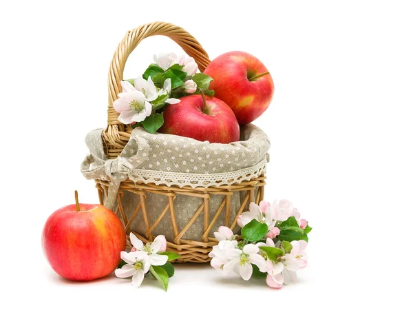 Pommes mûres et fleurs de pomme dans un panier sur fond blanc — Photo