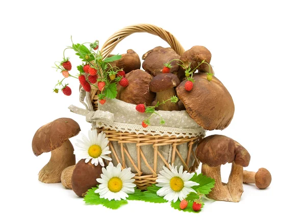 Paddestoelen, aardbeien en kamille bloemen op witte pagina — Stockfoto