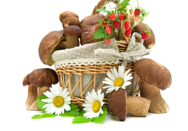 грибы, клубника и ромашковые цветы на белой спине
