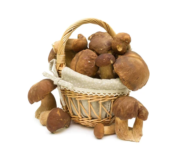 Basket with mushrooms isolated on a white background — Stock Photo, Image