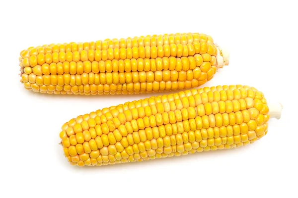 Maïs op de kolf op een witte achtergrond — Stockfoto