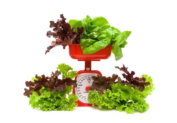 Lettuce and kitchen scales isolated on white background — Stock Photo, Image