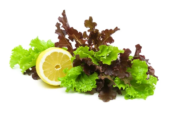 Lemon and fresh lettuce of different types on a white background — Stock Photo, Image