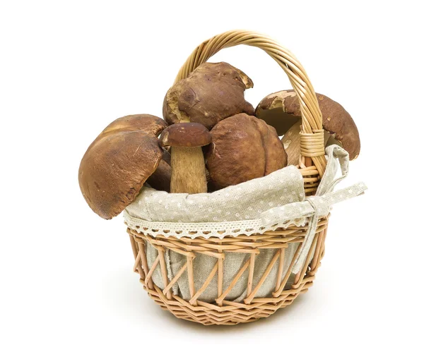 Ceps forestales en una canasta sobre un fondo blanco de cerca. horizontales —  Fotos de Stock