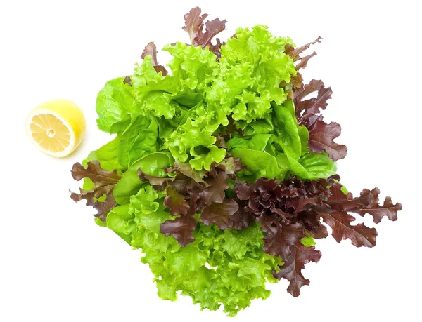 Fresh lettuce and lemon on a white background closeup — Stock Photo, Image
