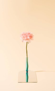 Artificial flower in a test tube on a mirror surface. Pastel yellow virtual nature minimal concept.