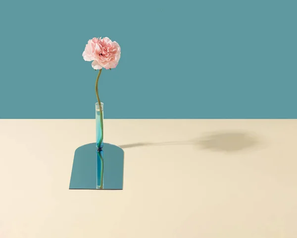Fake Pink Flower Test Tube Pastel Blue Yellow Background Artificial — Stock fotografie