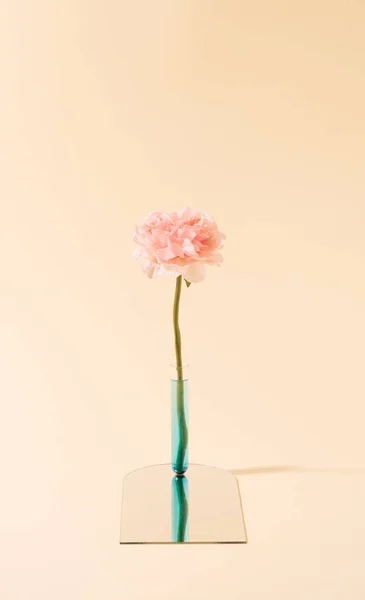 Bunga Buatan Dalam Tabung Reaksi Pada Permukaan Cermin Konsep Minimal — Stok Foto