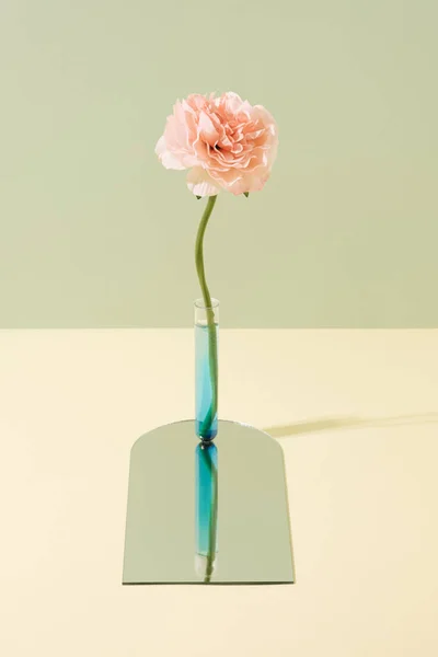 Bunga Peonia Merah Muda Dalam Tabung Percobaan Permukaan Cermin Rekayasa — Stok Foto