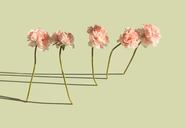 Bunga Merah Muda Buatan Muncul Dari Latar Belakang Hijau Pastel — Stok Foto