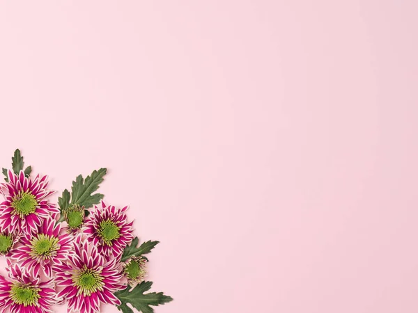 Templat Merah Muda Pastel Dengan Bunga Bunga Kebun Ungu Latar — Stok Foto