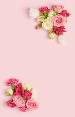 Pastel pembe arka planda sıralanmış dianthus ve güller. Romantik, kadınsı şablon.