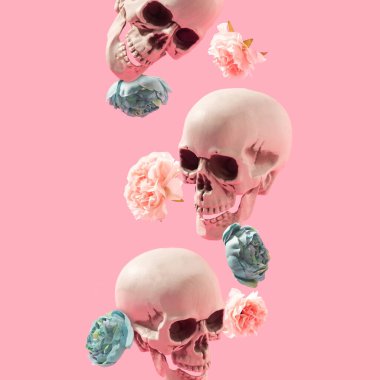 Kafatasları ve çiçekler pastel pembe arka plana düşüyor. Bahar, Santa Muerte minimum konsept.