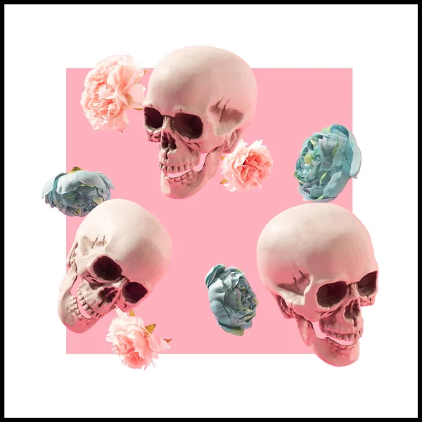 Skulls Flowers Light Pink Background White Frame Blooming Life Artistic — Stock Photo, Image