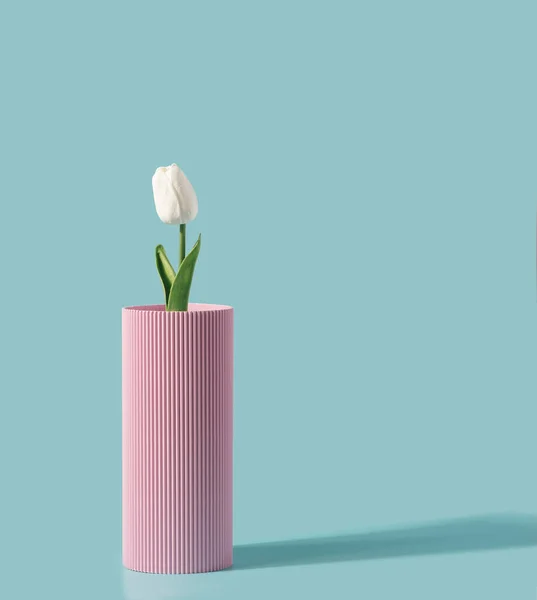 Bunga Tulip Dalam Vas Pink Pastel Dengan Latar Belakang Biru — Stok Foto