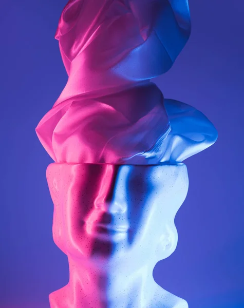 Скульптурная Головка Тканью Внутри Синим Розовым Светом Неон Паровая Волна — стоковое фото