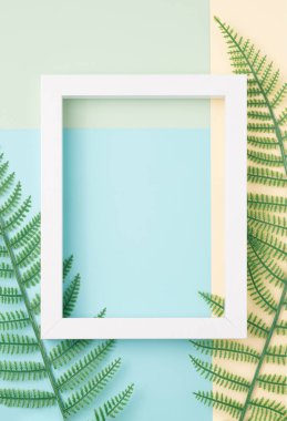 Pastel arka planda eğreltiotu yaprakları olan dikdörtgen çerçeve. Doğa, sanatsal asgari kopya alanı.