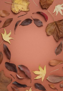 Colorful fall leaves with circular copy space on a clay background. Moody autumn flat lay