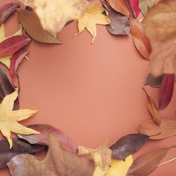 Autumn Leaves Windy Circular Motion Fall Weather Minimal Background — Stok Foto