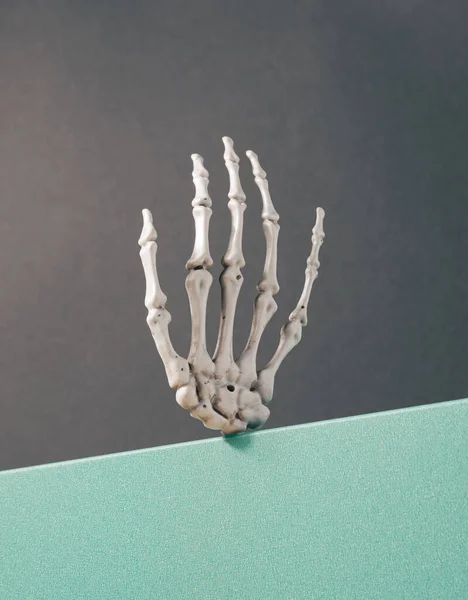 Skelet Hand Rand Van Een Standaard Tegen Grijze Achtergrond Halloween — Stockfoto