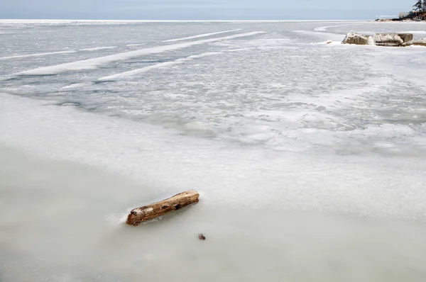 Frozen Lake Solitary Log — Stock Photo, Image