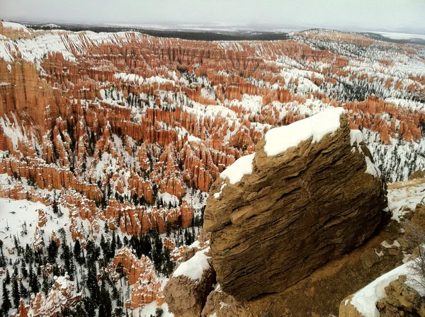 Bryce Kanyonu Ulusal Parkı