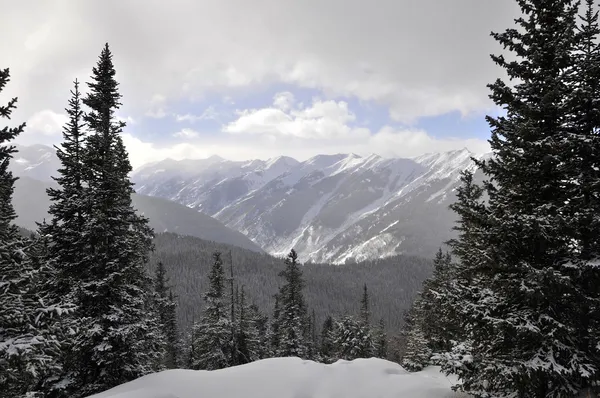 Montanhas de Aspen colorado — Fotografia de Stock