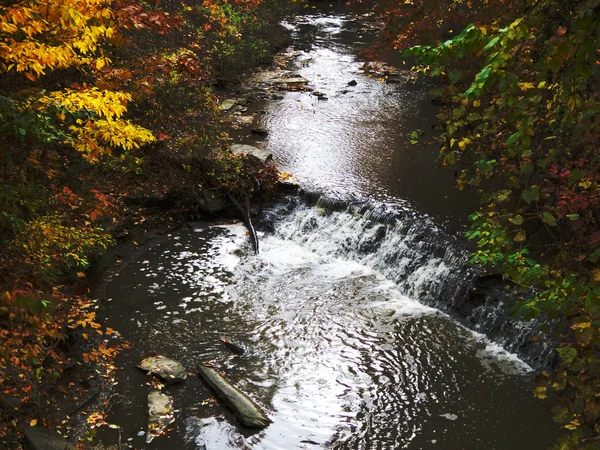 Fall Stream — Stock Photo, Image