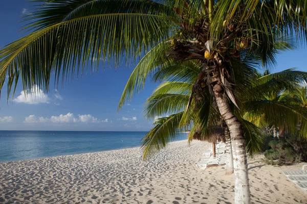 Bajo ángulo Sun Beach tiro — Foto de Stock