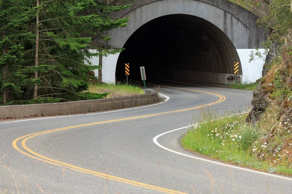Image Mountain Tunnel Road Hurricane Ridge Olympic National Park Washington — Stok fotoğraf