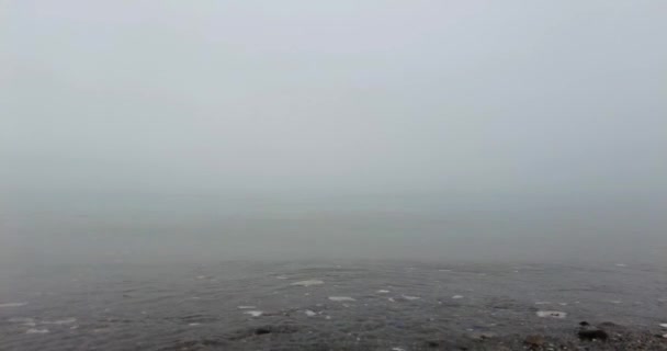 Sakin dalgalar sisli bir kış gününde kıyıya vurur. — Stok video