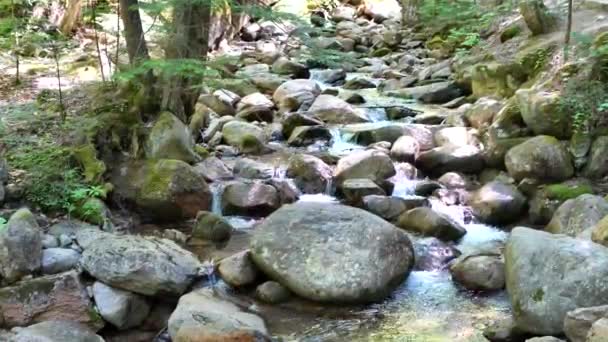 Slow Pan Mountain Stream Summer High Quality Footage Fast Running — Video Stock