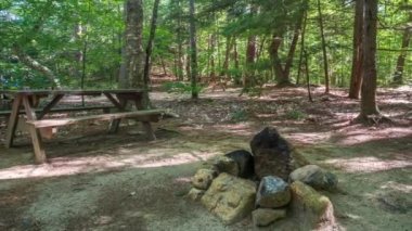 Slow Timelapse Pan of a wooded campsite on a sunny day with moving shadows