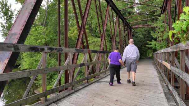 Older Couple Holding Hands Walking Away Camera Rails Trails Railroad — 비디오