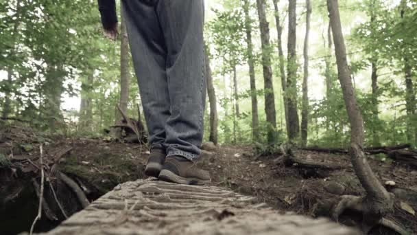 Kot Pantolonlu Kapüşonlu Yaşlı Bir Adam Ormanda Bir Ağaç Köprüsünü — Stok video