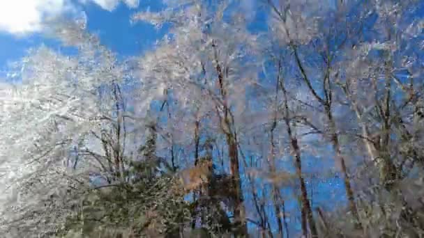 Clip Secuelas Una Tormenta Hielo Día Soleado Brillante Imagen Del — Vídeos de Stock