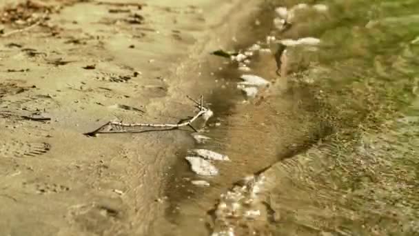 Clip Cierre Espuma Las Olas Que Lavan Tierra Atardecer Imágenes — Vídeo de stock