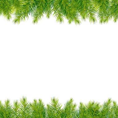 Noel ağacı sınırları