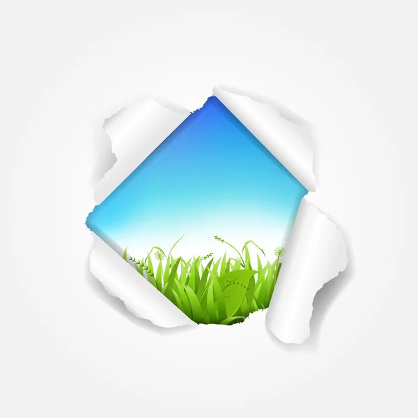 Sky And Grass Torn — Stock Vector