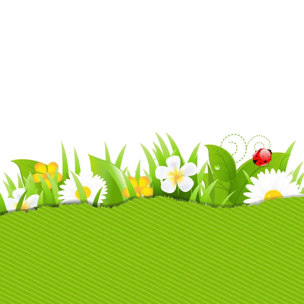 Papier vert déchiré avec des fleurs et de l'herbe — Image vectorielle